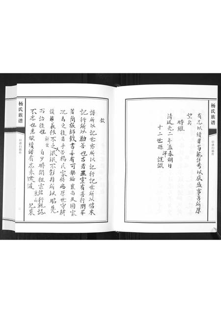 山东杨氏-杨氏族谱[不分卷].pdf电子版预览图4