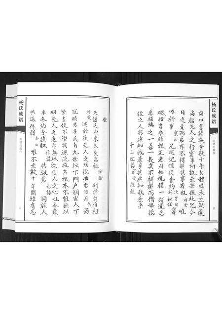 山东杨氏-杨氏族谱[不分卷].pdf电子版预览图5