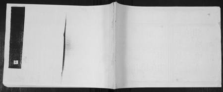 山东杨氏-杨氏族谱[不分卷].pdf电子版缩略图