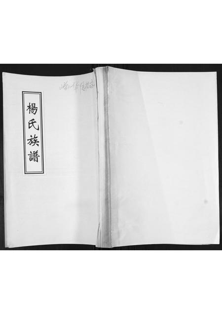 山东杨氏-思永堂杨氏族谱[不分卷].pdf电子版缩略图