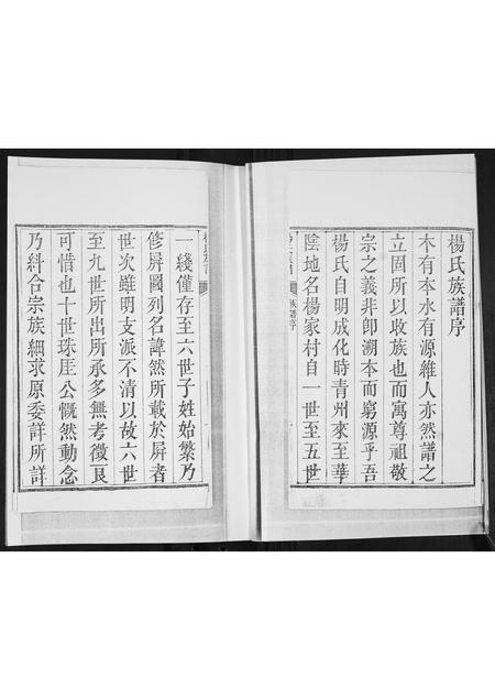 山东杨氏-思永堂杨氏族谱[不分卷].pdf电子版预览图2