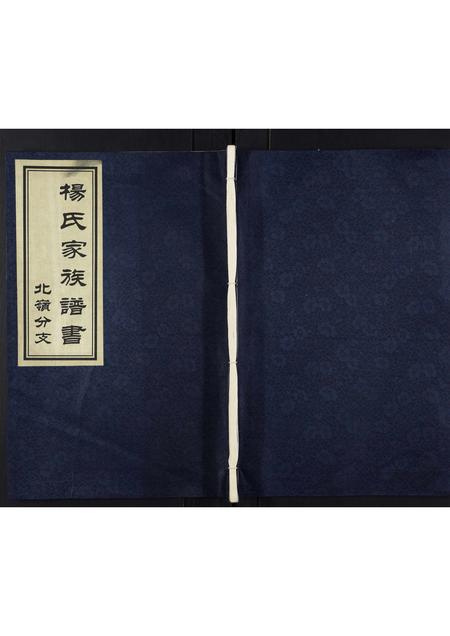 山东杨氏-杨氏族谱[不分卷].pdf电子版缩略图