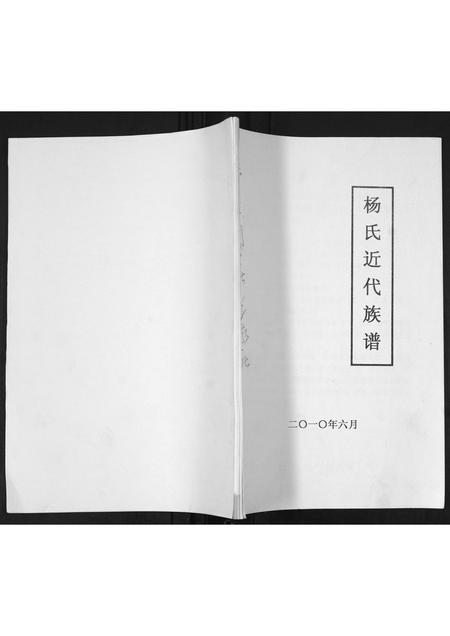 山东杨氏-杨氏近代族谱.pdf电子版缩略图