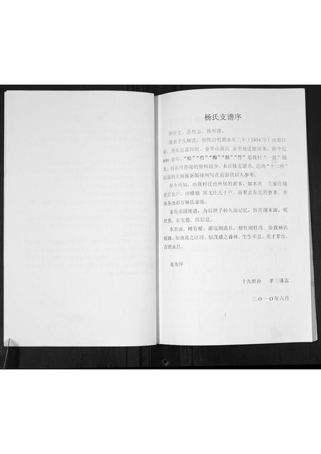 山东杨氏-杨氏近代族谱.pdf电子版预览图2