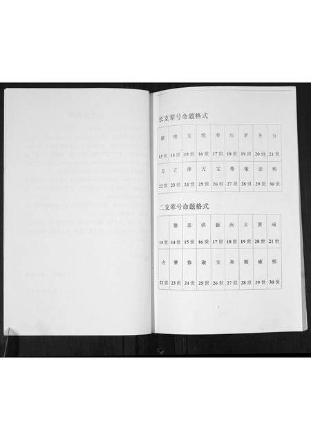 山东杨氏-杨氏近代族谱.pdf电子版预览图3