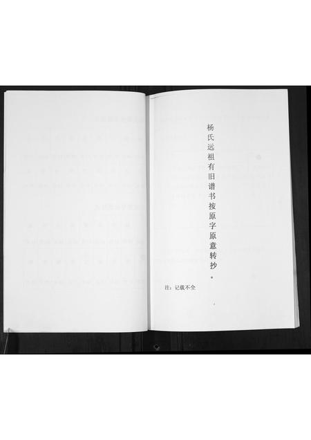 山东杨氏-杨氏近代族谱.pdf电子版预览图4