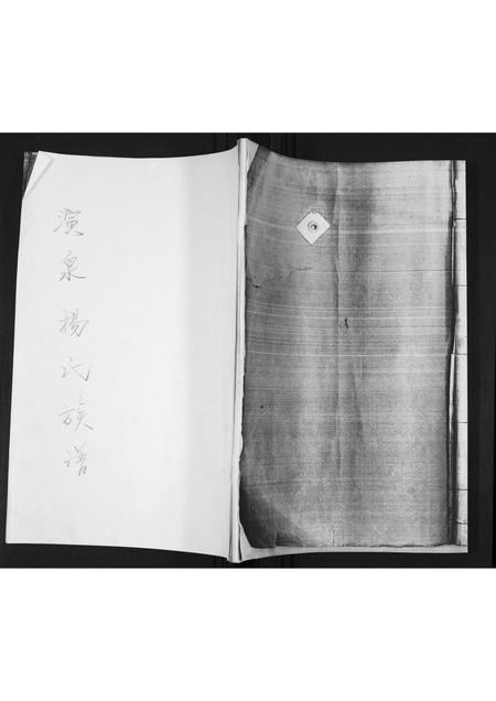 山东杨氏-演泉杨氏族谱[不分卷].pdf电子版缩略图