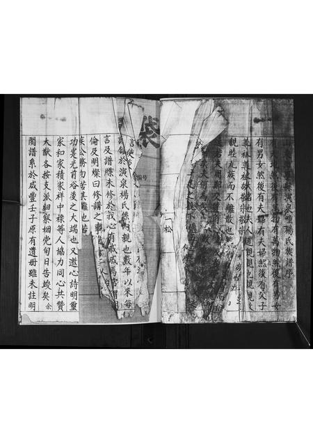 山东杨氏-演泉杨氏族谱[不分卷].pdf电子版预览图1