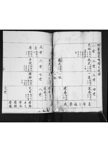 山东杨氏-演泉杨氏族谱[不分卷].pdf电子版预览图3