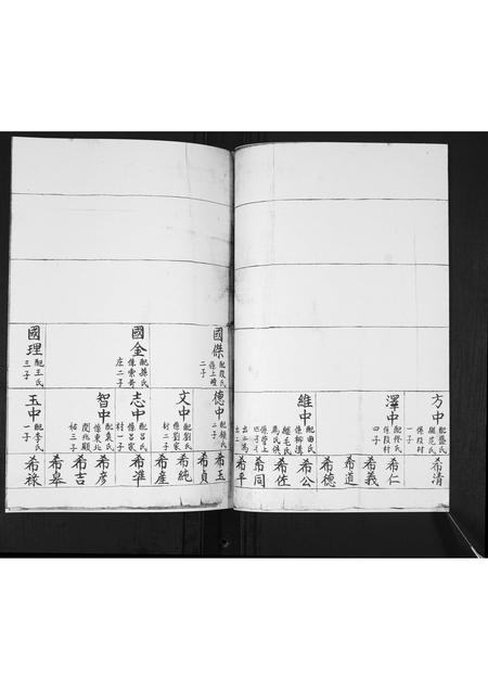 山东杨氏-演泉杨氏族谱[不分卷].pdf电子版预览图5