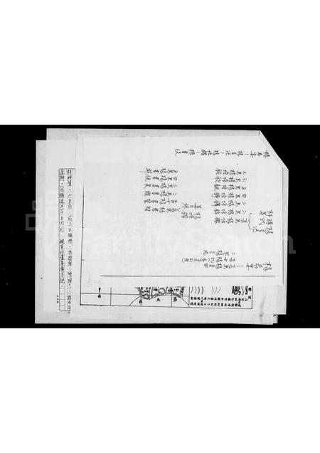 山东杨氏-[杨氏]祖谱报告.pdf电子版预览图3