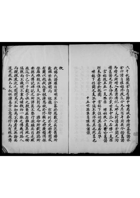 山东杨氏-杨氏家谱.pdf电子版预览图2