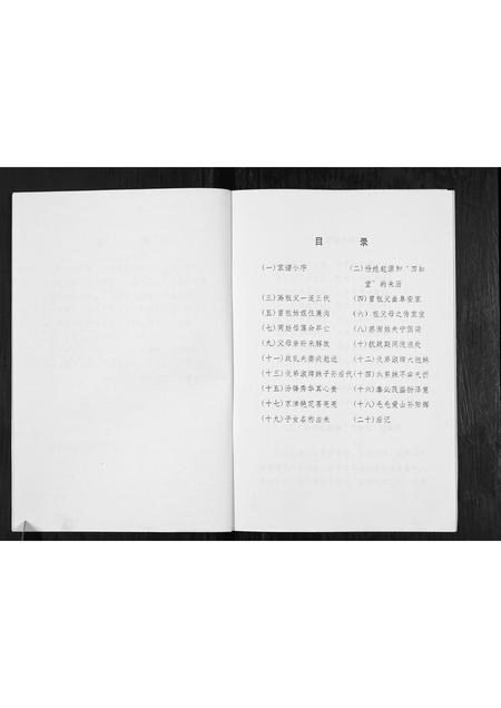 山西杨氏-山西沁水杨氏家谱初探[不分卷].pdf电子版预览图2