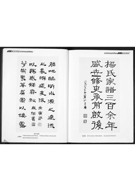 山西杨氏-杨氏家谱.pdf电子版预览图4