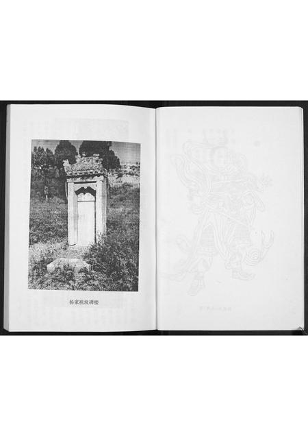 山西杨氏-杨氏家谱[不分卷].pdf电子版预览图3