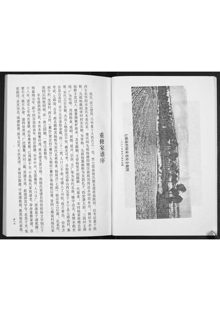 山西杨氏-杨氏家谱[不分卷].pdf电子版预览图4