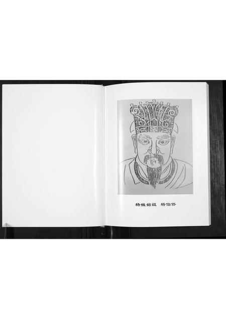 山西杨氏-杨氏族谱.pdf电子版预览图3