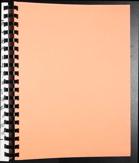 广西杨氏-容州杨佐时公族谱[1册].pdf电子版预览图1