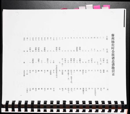 广西杨氏-容州杨佐时公族谱[1册].pdf电子版预览图4