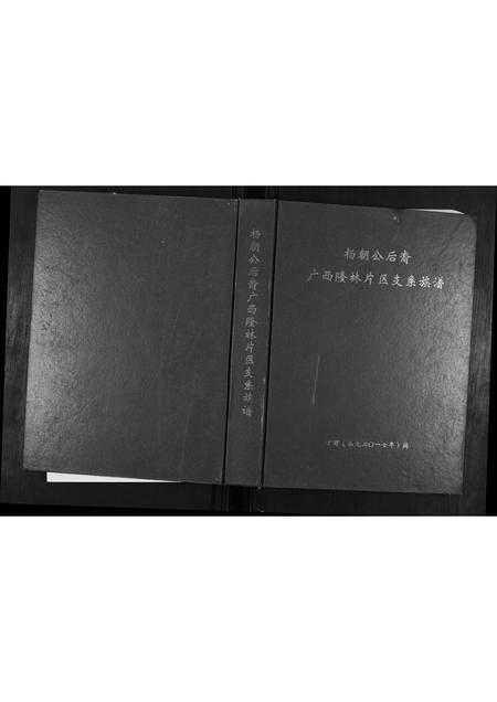 广西杨氏-杨朝公后裔广西省隆林片区支系族谱.pdf电子版缩略图