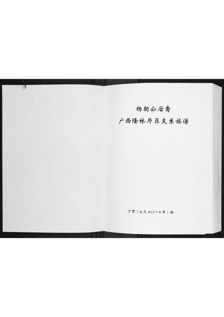 广西杨氏-杨朝公后裔广西省隆林片区支系族谱.pdf电子版预览图1
