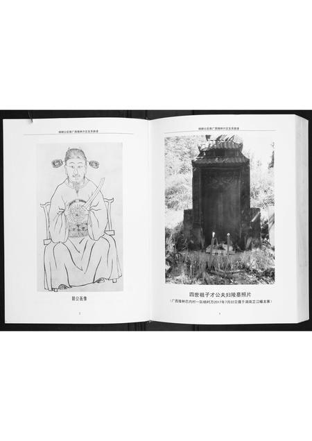 广西杨氏-杨朝公后裔广西省隆林片区支系族谱.pdf电子版预览图3