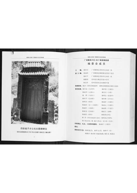 广西杨氏-杨朝公后裔广西省隆林片区支系族谱.pdf电子版预览图4