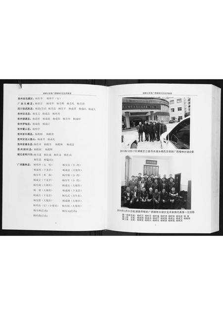 广西杨氏-杨朝公后裔广西省隆林片区支系族谱.pdf电子版预览图5