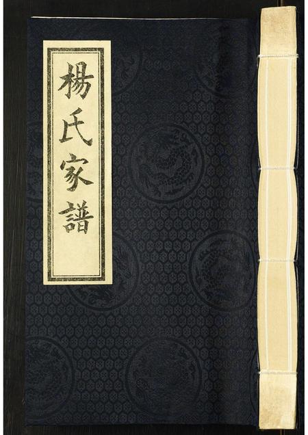 河北杨氏-杨氏家谱.pdf电子版缩略图