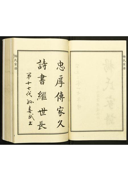 河北杨氏-杨氏家谱.pdf电子版预览图2