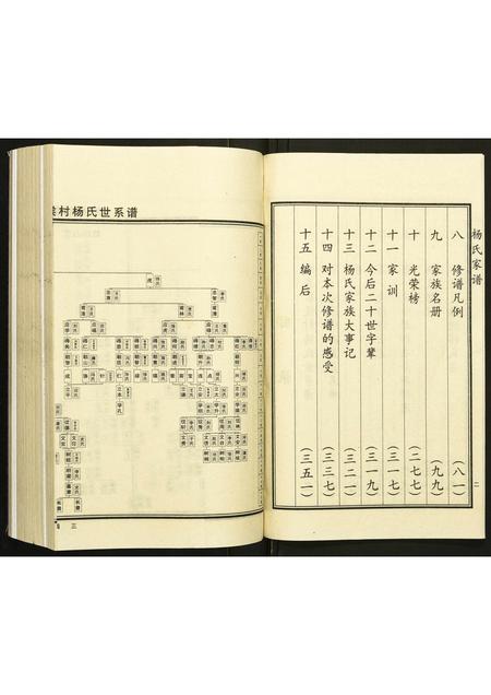 河北杨氏-杨氏家谱.pdf电子版预览图4