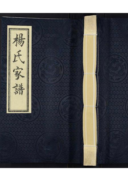 河北杨氏-杨氏家谱.pdf电子版缩略图