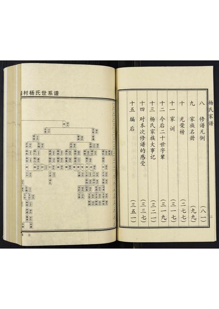 河北杨氏-杨氏家谱.pdf电子版预览图4