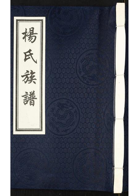 河北杨氏-杨氏族谱.pdf电子版缩略图