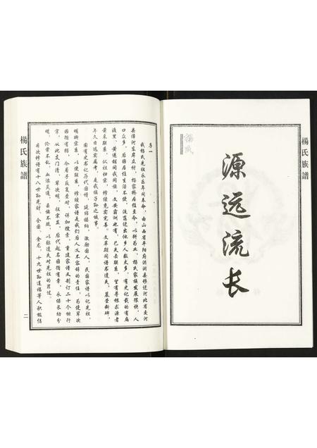 河北杨氏-杨氏族谱.pdf电子版预览图3