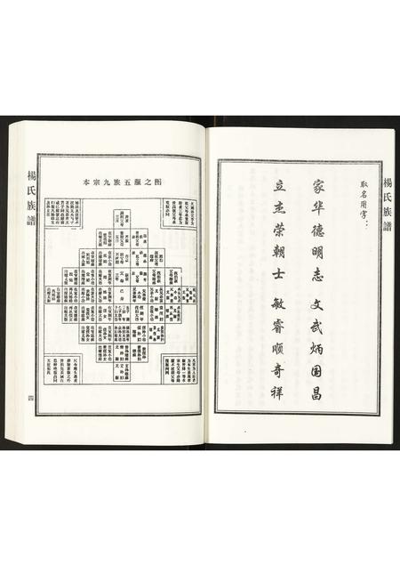 河北杨氏-杨氏族谱.pdf电子版预览图5