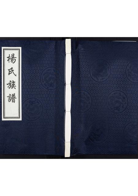 河北杨氏-杨氏族谱.pdf电子版缩略图