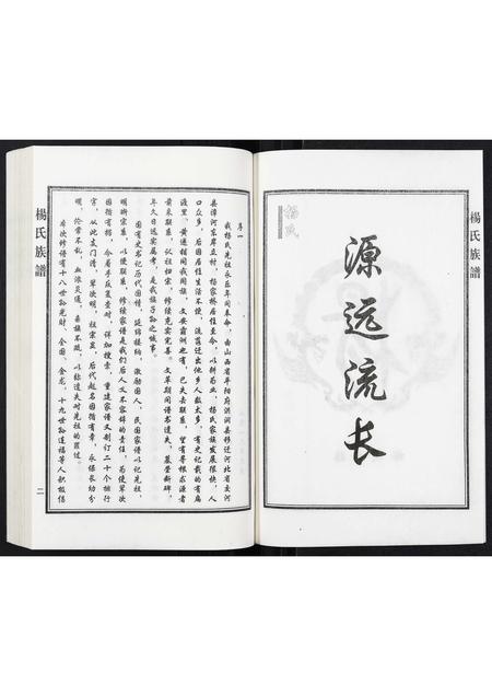 河北杨氏-杨氏族谱.pdf电子版预览图3