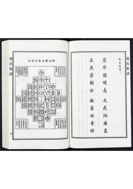 河北杨氏-杨氏族谱.pdf电子版预览图5