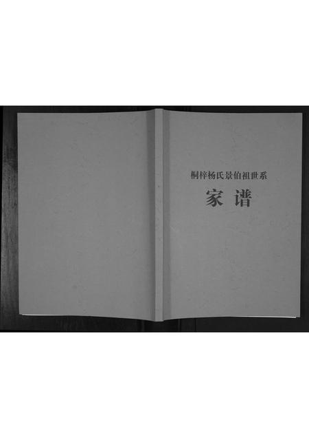 贵州杨氏-桐梓杨氏景伯祖世系家谱.pdf电子版缩略图