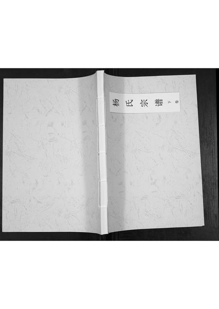 贵州杨氏-杨氏宗谱.pdf电子版缩略图