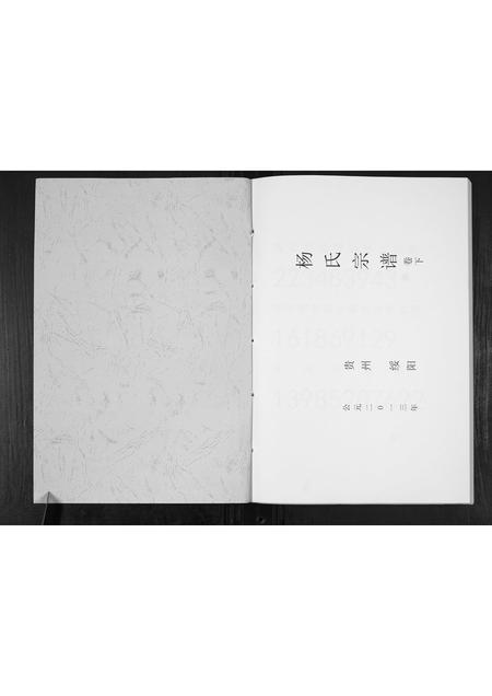 贵州杨氏-杨氏宗谱.pdf电子版预览图1