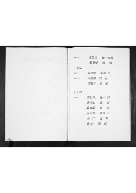 贵州杨氏-杨氏宗谱.pdf电子版预览图5