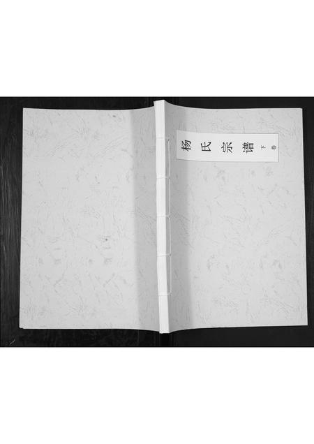 贵州杨氏-杨氏宗谱.pdf电子版缩略图