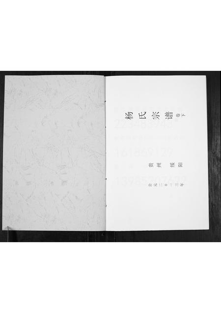 贵州杨氏-杨氏宗谱.pdf电子版预览图1