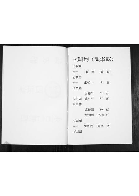 贵州杨氏-杨氏宗谱.pdf电子版预览图4