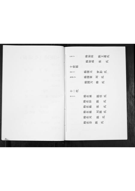 贵州杨氏-杨氏宗谱.pdf电子版预览图5