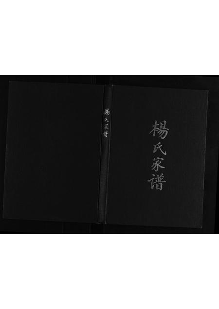 贵州杨氏-杨氏宗谱[不分卷].pdf电子版缩略图