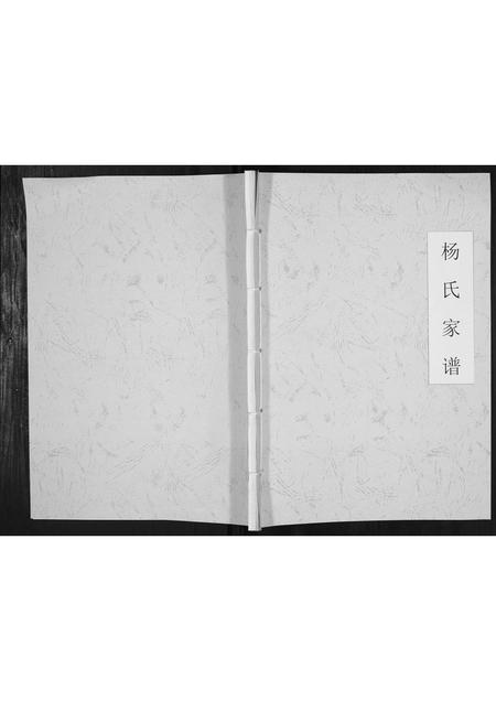 贵州杨氏-杨氏家谱[不分卷].pdf电子版缩略图