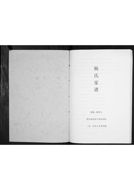 贵州杨氏-杨氏家谱[不分卷].pdf电子版预览图1